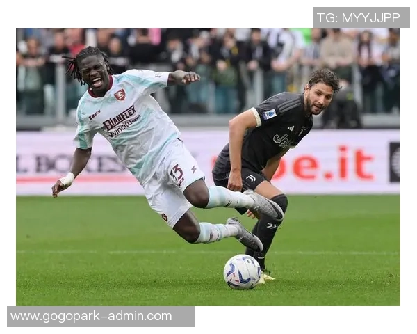 北单推荐萨勒尼塔纳对阵威尼斯精彩赛事分析与投注建议